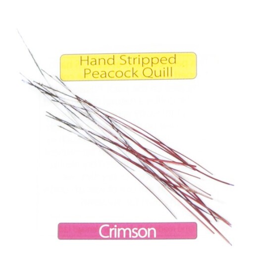 Veniard Stripped Peacock Quills Veniard Stripped Peacock Quills
