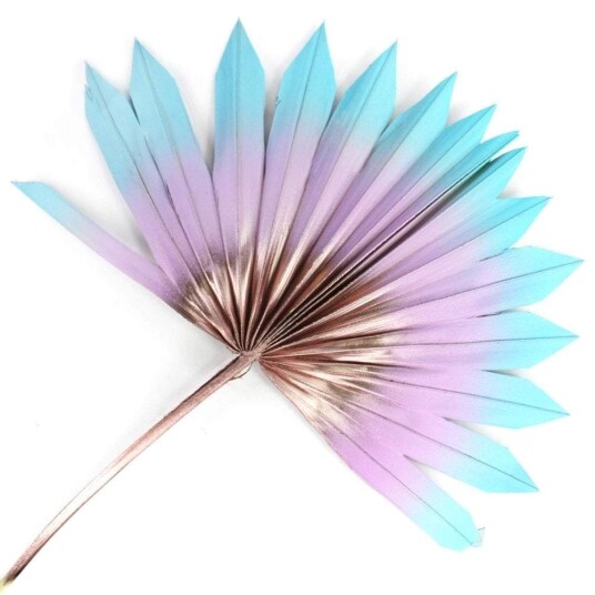Tørket Palme Vifte Pastell Regnbue