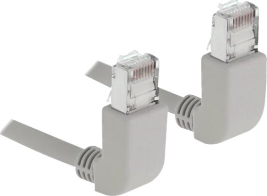 Delock Rj 45 Cat 6A S/Ftp Grå 2 M