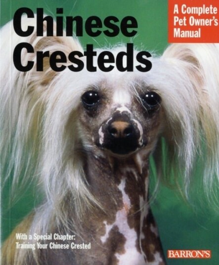 Chinese Cresteds