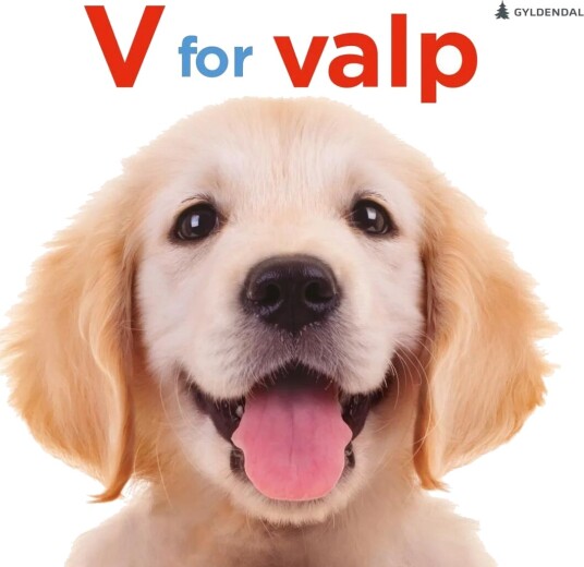 V For Valp