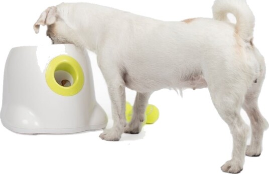 All For Paws Hyperfetch Ballkaster Mini All For Paws Hyperfetch Ballkaster Mini