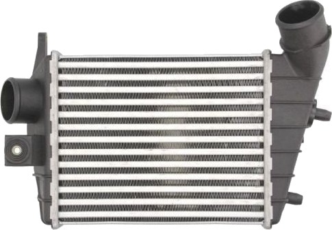 Intercooler THERMOTEC DAD001TT