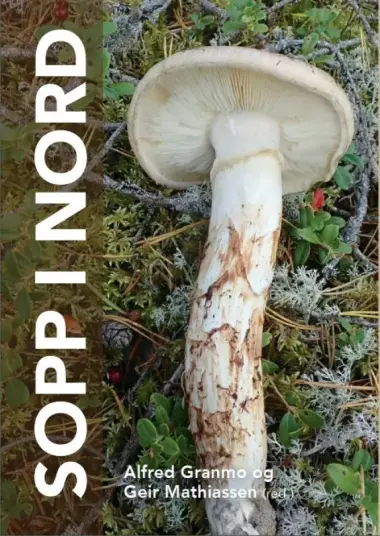 Sopp i Nord
