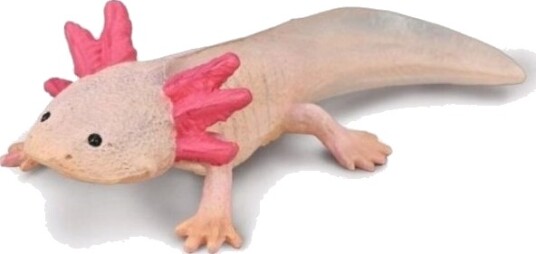 Figurka Collecta Collecta Aksolotl