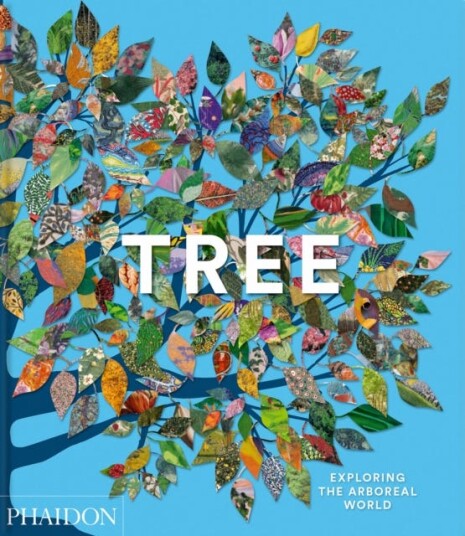 Tree Exploring the Arboreal World Tree Exploring the Arboreal World