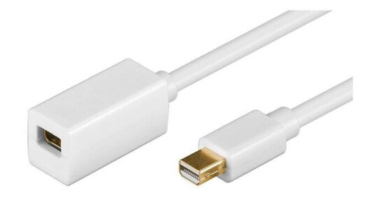 Pro Mini DP Extension - 1m