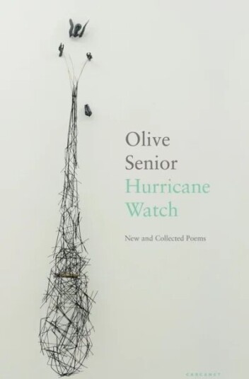 Hurricane Watch Av Olive Senior