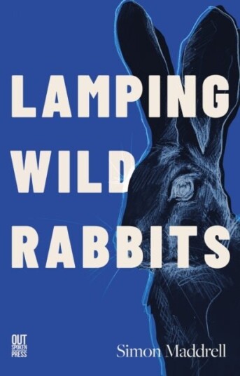 lamping wild rabbits lamping wild rabbits