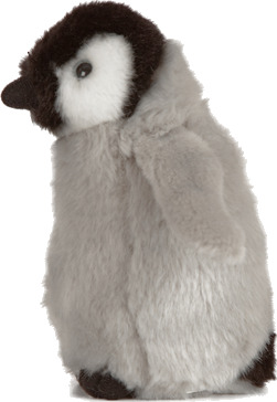Penguin Chick | Living Nature
