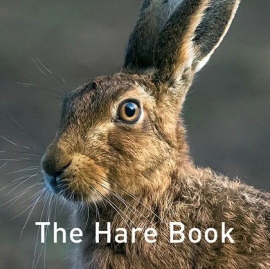 Nature Book Series, The: The Hare Book Av Russ Jane Nature Book Series, The: The Hare Book Av Russ Jane
