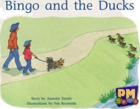 Bingo and the Ducks