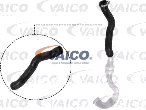 VAICO V21 0025 Ladeluftslange