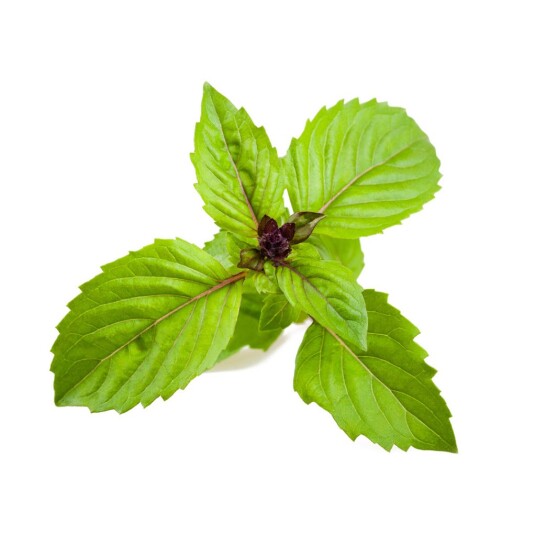 Click and Grow Smart Garden Refill 3-pack Cinnamon Basil SGR71X3 Click and Grow Smart Garden Refill 3-pack Cinnamon Basil SGR71X3