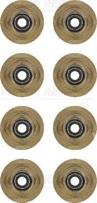 REINZ 12-31056-01 Pakningssett, ventilstamme