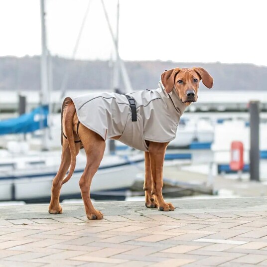 Trixie Be Nordic Husum Regndekken til Hund Beige 217250