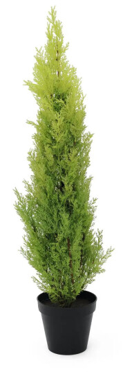 Europalms Cypress, Leyland, 90cm