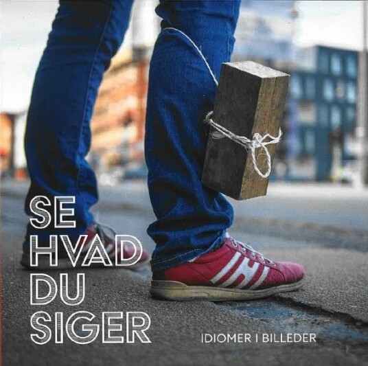 Se Hva Du Sier | Christiane Bjørg Nielsen Michael Spike Nielsen Simon Taus Philip Nielsen | Språk: Dansk