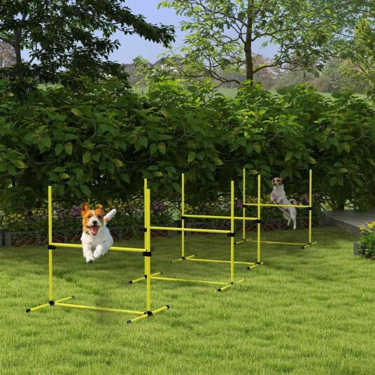 Agility hundetreningssett med slalåmstaver gul Agility hundetreningssett med slalåmstaver gul
