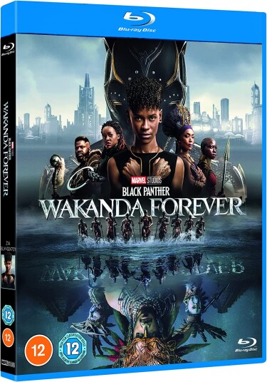 Black Panther 2  Wakanda Forever