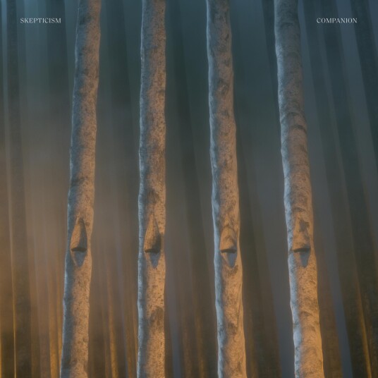 Skepticism  Companion  LP/Vinyl
