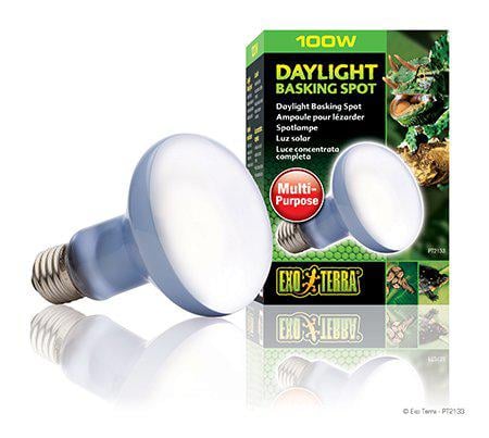 Exoterra Daylight Basking Spot 100W R25 E27 Green (220.2730) Exoterra Daylight Basking Spot 100W R25 E27 Green (220.2730)