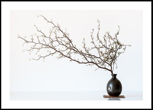 Vase And Branch Plakat / 40x50cm Vase And Branch Plakat / 40x50cm