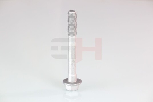 Skrue GH GH-391580