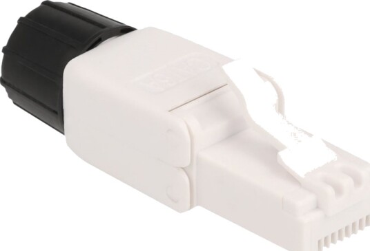 Delock Nettverkkontakt Rj 45 Hann Utp Cat 6A