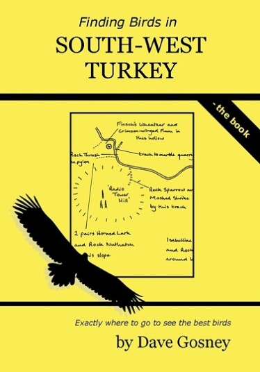 Finding Birds in South west Turkey Finding Birds in South west Turkey