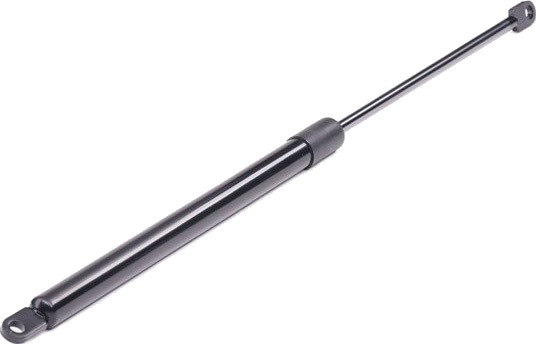 RIDEX 219G0278 Baklukedemper