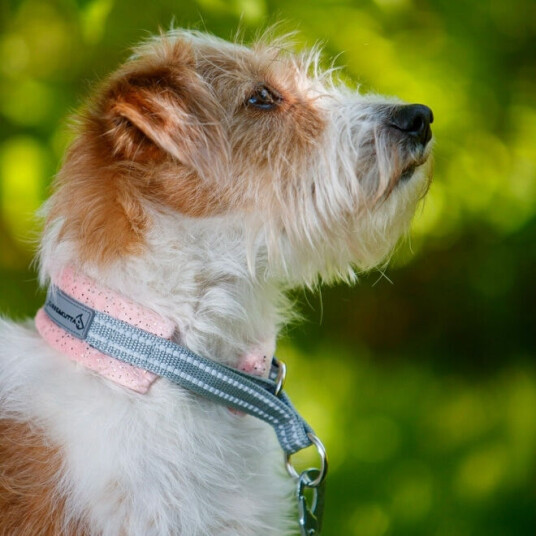 Kusse & Kutta Hundehalsbånd Bred Myk Fersken (10)