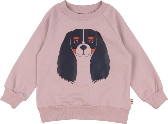 DYR Collegegenser   DYRNel   Vintage Rose Cavalier   DYR   2 år (92)   Collegegenser   Rosa