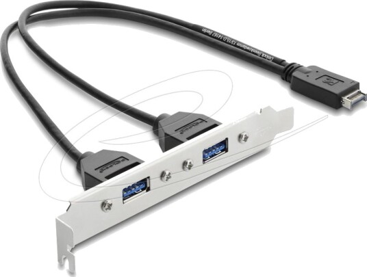 Delock Usb Kabel 20 Pin Usb Type E Hann Key A Til Usb Hunn Usb 2.0 35.5 Cm Svart
