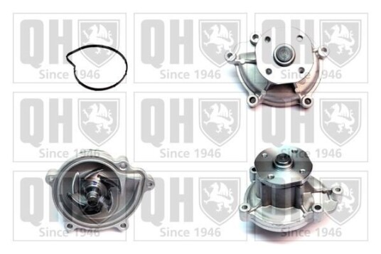 QUINTON HAZELL QCP3624 Vannpumpe QUINTON HAZELL QCP3624 Vannpumpe