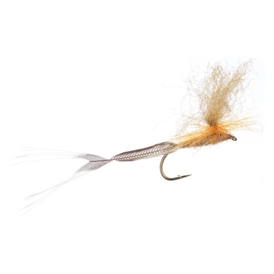 Arcticflies Tørrflue Vulgata