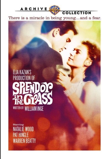 Splendor In The Grass (1961) / Feber I Blodet DVD Splendor In The Grass (1961) / Feber I Blodet DVD