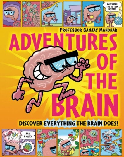 Adventures of the Brain What the brain does and how it works