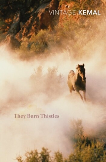 They Burn Thistles They Burn Thistles