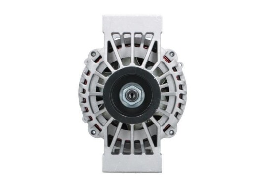 Dynamo BV PSH 556.565.100.030