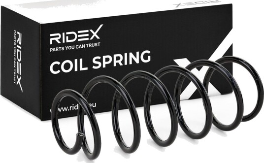 RIDEX 188C0050 Fjær