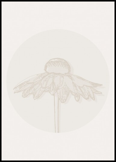 Minimalist Coneflower Bloom Plakat / 100x150