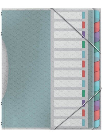 Esselte Sorteringsmappe Colour'Ice PP 12-delt