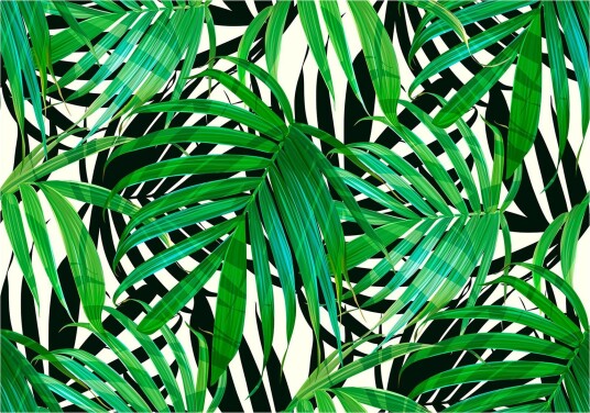 Fototapet Tropical Leaves 150x105 - Artgeist sp. z o. o.