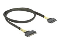 Delock SAS Internkabel 1m Delock SAS Internkabel 1m