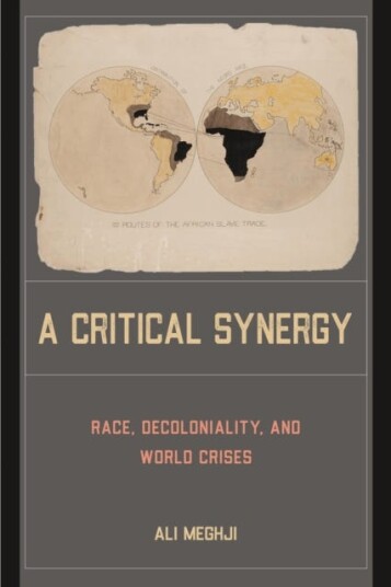 A Critical Synergy Av Ali Meghji A Critical Synergy Av Ali Meghji