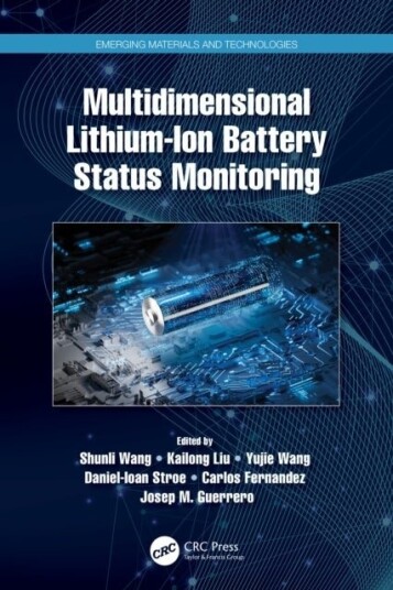 Multidimensional Lithium Ion Battery Status Monitoring