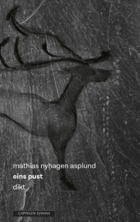 Eins Pust Av Mathias Nyhagen Asplund