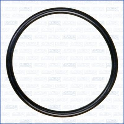 Tetning, innsugningsmanifold AJUSA 16053300