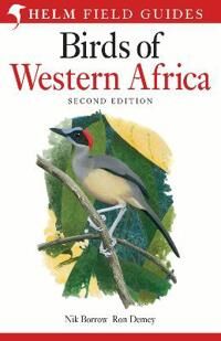 Field Guide To Birds Of Western Africa Av Nik Borrow Field Guide To Birds Of Western Africa Av Nik Borrow